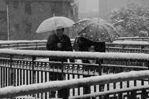 Snowflakes Dancing in the World 64