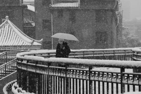 Snowflakes Dancing in the World 65