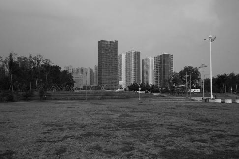 On the green grass 1