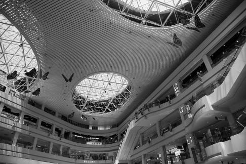 The Joy of Shopping Malls 11