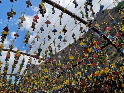 Wishes of sentient beings 1