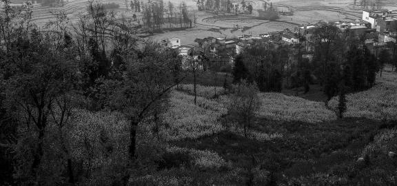 Spring scenery 7