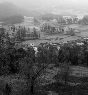 Spring scenery 8
