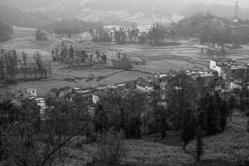 Spring scenery 9