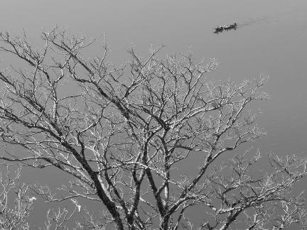 Reflecting on the Blue Sky 10