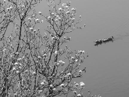 Reflecting on the Blue Sky 12
