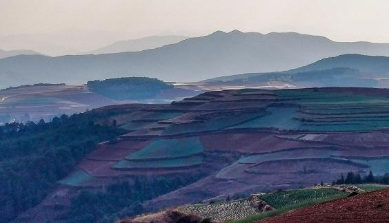 The longing of the earth 8