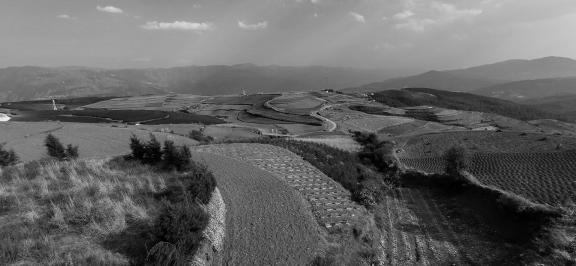 The longing of the earth 12