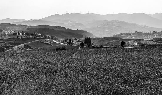The longing of the earth 15