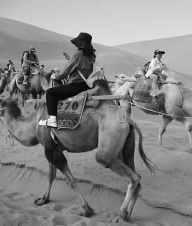 Desert Journey 57