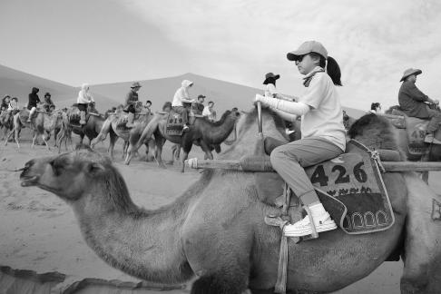 Desert Journey 59
