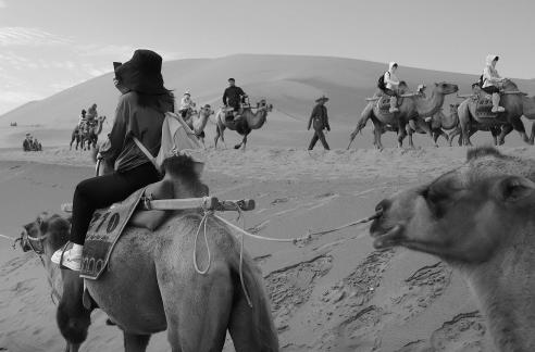 Desert Journey 60