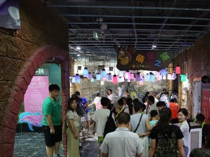 Aquarium Tour 45