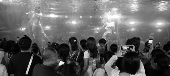 Aquarium Tour 41