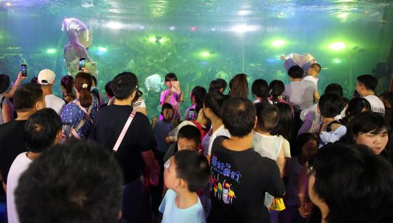 Aquarium Tour 38