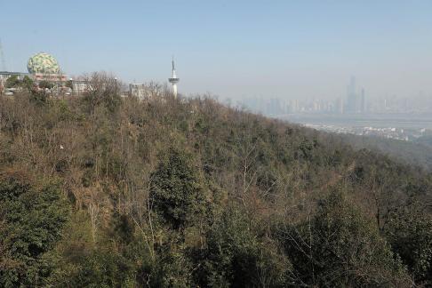 Journey to Yuelu Mountain 66