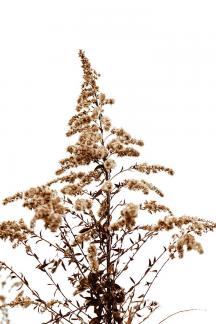 Drying up in winter 4