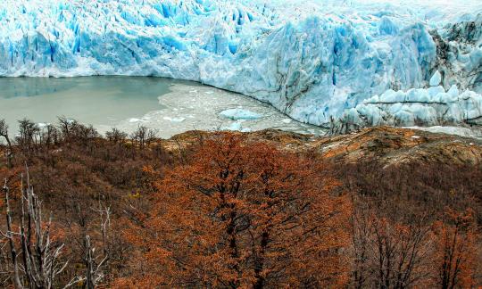 Argentina124