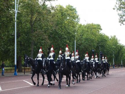 Royal Patrol Horse Team