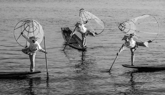 Fishing Hold The Net