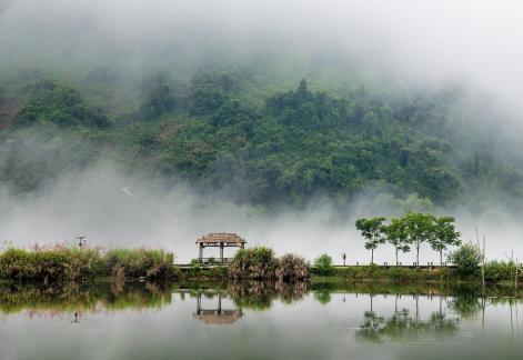 Rural landscape