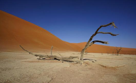 Deadvlei_7