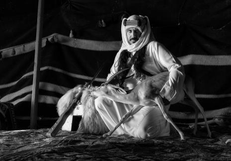 Bedouin life in Tabuk 4