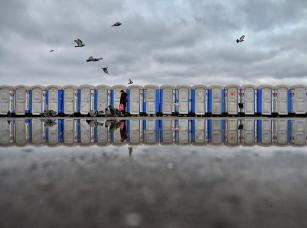 Flybirdsandreflection