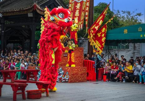 Lion dance in park