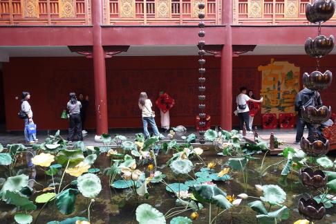 The lotus pond in the temple 1