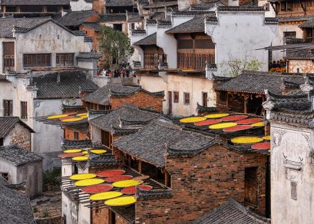 a village with a bumper harvest