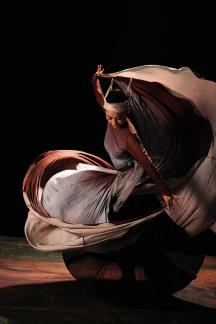 Dance of Remnants of Lotus