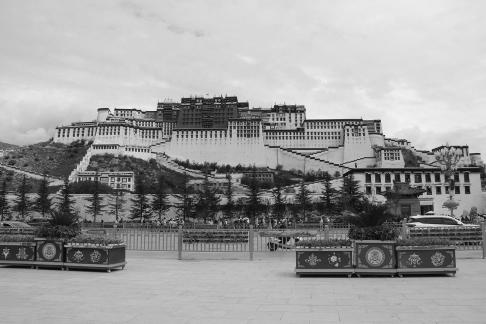 Take a photo in Xizang 26