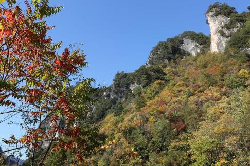 Deep in the mountains 8