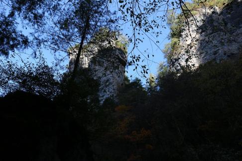 Forest Stone Peaks 1