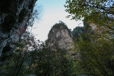 Forest Stone Peaks 4