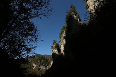 In the mountains and forests 4