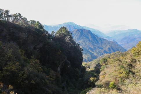 Green Green Mountains 8