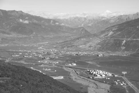 Tianlu Weaving Brocade 13