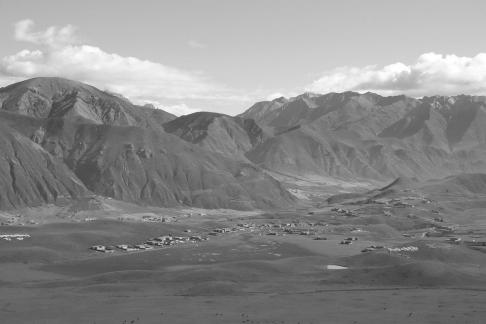 Tianlu Weaving Brocade 14