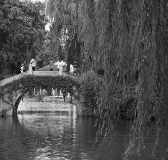 Ink washed Jiangnan 21