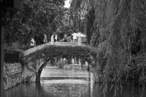 Ink washed Jiangnan 24