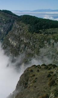 Green hills will always remain 4