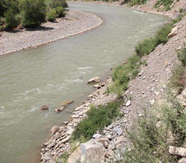 Riverside Qingqing 1