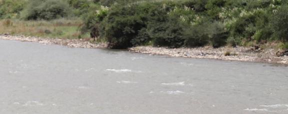 Riverside Qingqing 2