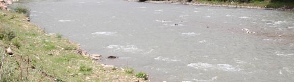 Riverside Qingqing 3