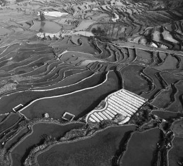 Terraced fields scenery 4