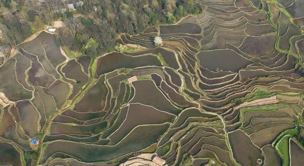Terraced fields scenery 16