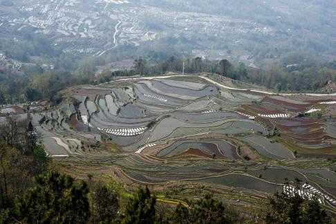 Terraced Fields Holy Scenery 2