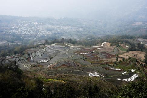 Terraced Fields Holy Scenery 5